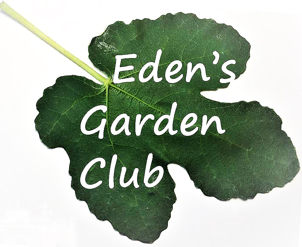 Eden logo